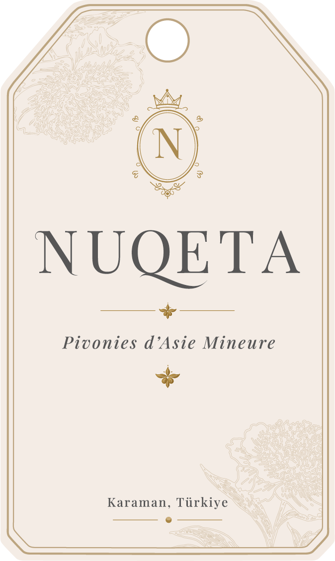 Nuqeta — Pivoines d'Asie Mineure, Karaman, Türkiye